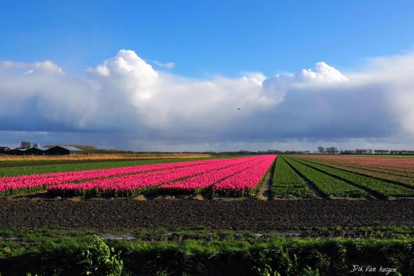 Caravan Stadstuin Goedereede Let Op De Badkamer Moet Met Andere Gasten Gedeeld Worden Bagian luar foto